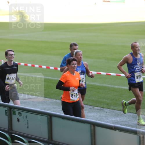 06.10.2024 - 19. swb-Marathon Bremen Yannick Fuchs http://msf.ph/oto/7387756 06.10.2024 10:26:57 Laufen im Stadion 7008, 7491, 7576, 7720, 7874, 7887, 7953, 8103, 8172, 8238, 8239, 8335, 8452, 8460, 8475, 8561, 8567, 8568, 8578, 8580, 8585, 8636, 8645, 8652, 8732, 8817, 8870, 8904, 9016, 9025, 9032, 9070, 9110 meine-sportfotos.de