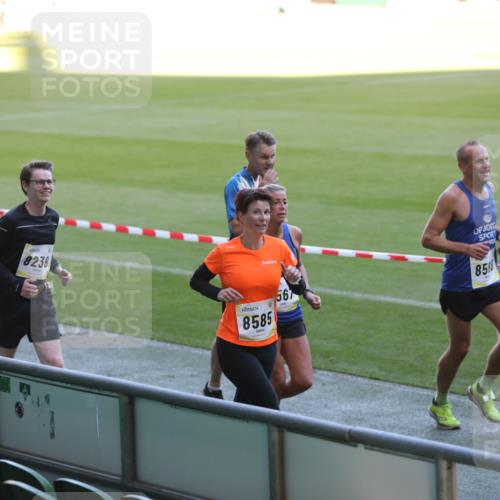 06.10.2024 - 19. swb-Marathon Bremen Yannick Fuchs http://msf.ph/oto/7387760 06.10.2024 10:26:57 Laufen im Stadion 7008, 7491, 7576, 7720, 7874, 7887, 7953, 8103, 8172, 8238, 8239, 8335, 8452, 8460, 8475, 8561, 8567, 8568, 8578, 8580, 8585, 8636, 8645, 8652, 8732, 8817, 8870, 8904, 9016, 9025, 9032, 9070, 9110 meine-sportfotos.de