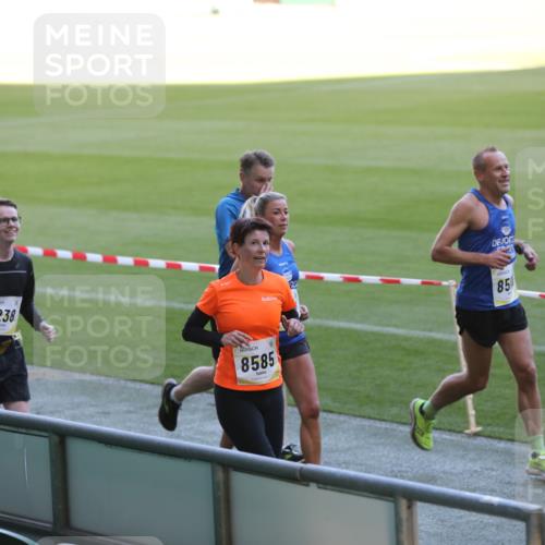 06.10.2024 - 19. swb-Marathon Bremen Yannick Fuchs http://msf.ph/oto/7387768 06.10.2024 10:26:57 Laufen im Stadion 7008, 7491, 7576, 7720, 7874, 7887, 7953, 8103, 8172, 8238, 8239, 8335, 8452, 8460, 8475, 8561, 8567, 8568, 8578, 8580, 8585, 8636, 8645, 8652, 8732, 8817, 8870, 8904, 9016, 9025, 9032, 9070, 9110 meine-sportfotos.de