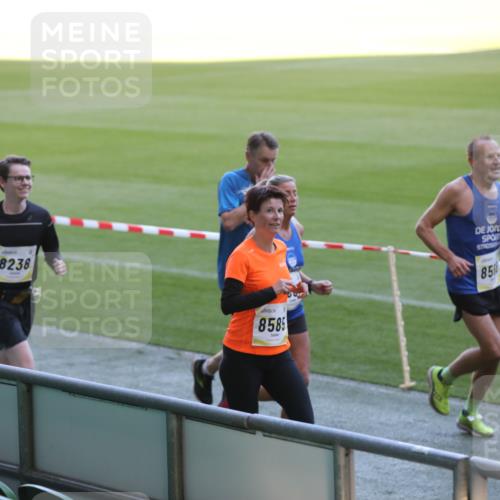 06.10.2024 - 19. swb-Marathon Bremen Yannick Fuchs http://msf.ph/oto/7387772 06.10.2024 10:26:57 Laufen im Stadion 7008, 7491, 7576, 7720, 7874, 7887, 7953, 8103, 8172, 8238, 8239, 8335, 8452, 8460, 8475, 8561, 8567, 8568, 8578, 8580, 8585, 8636, 8645, 8652, 8732, 8817, 8870, 8904, 9016, 9025, 9032, 9070, 9110 meine-sportfotos.de