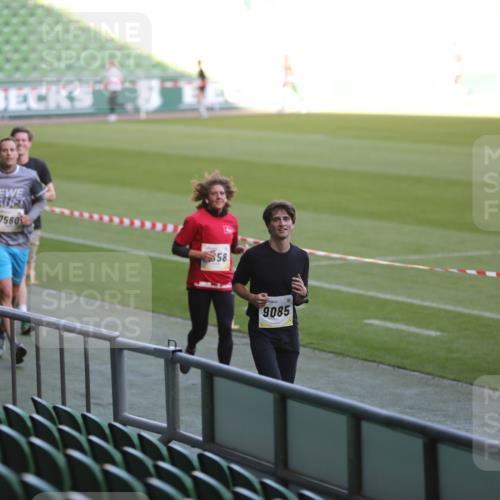 06.10.2024 - 19. swb-Marathon Bremen Yannick Fuchs http://msf.ph/oto/7388014 06.10.2024 10:27:15 Laufen im Stadion 7008, 7052, 7491, 7560, 7717, 7833, 7887, 7953, 8103, 8150, 8172, 8238, 8239, 8335, 8460, 8475, 8561, 8567, 8568, 8580, 8585, 8610, 8635, 8636, 8645, 8652, 8658, 8732, 8764, 8774, 8777, 8817, 8856, 8901, 8904, 8980, 9016, 9027, 9032, 9085, 9110 meine-sportfotos.de