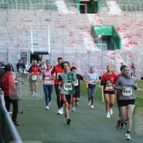 06.10.2024 - 19. swb-Marathon Bremen Yannick Fuchs http://msf.ph/oto/7388617 06.10.2024 10:27:49 Laufen im Stadion 7052, 7184, 7198, 7214, 7303, 7364, 7452, 7560, 7594, 7638, 7647, 7673, 7876, 8066, 8150, 8173, 8185, 8288, 8316, 8351, 8658, 8701, 8711, 8716, 8754, 8774, 8801, 8816, 8824, 8827, 8836, 8943, 8980, 9027, 9085 meine-sportfotos.de
