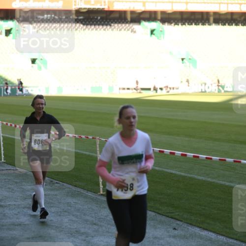 06.10.2024 - 19. swb-Marathon Bremen Yannick Fuchs http://msf.ph/oto/7388706 06.10.2024 10:27:51 Laufen im Stadion 7052, 7094, 7095, 7184, 7198, 7214, 7303, 7364, 7452, 7464, 7560, 7594, 7638, 7647, 7673, 7876, 8066, 8150, 8173, 8185, 8288, 8316, 8351, 8456, 8701, 8711, 8716, 8754, 8774, 8801, 8816, 8824, 8827, 8836, 8943, 8980, 9027 meine-sportfotos.de