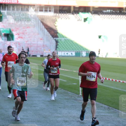 06.10.2024 - 19. swb-Marathon Bremen Yannick Fuchs http://msf.ph/oto/7388851 06.10.2024 10:27:55 Laufen im Stadion 7052, 7094, 7095, 7184, 7198, 7214, 7303, 7364, 7452, 7464, 7594, 7638, 7647, 7673, 7876, 8066, 8173, 8185, 8288, 8316, 8351, 8403, 8405, 8456, 8701, 8711, 8716, 8754, 8774, 8801, 8816, 8824, 8827, 8836, 8943, 8980, 9040 meine-sportfotos.de