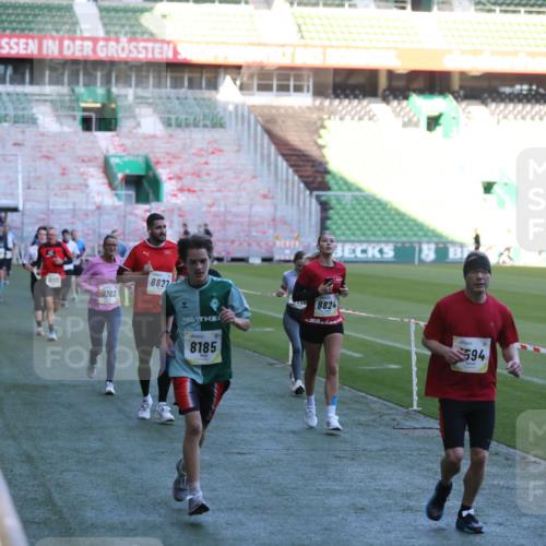 06.10.2024 - 19. swb-Marathon Bremen Yannick Fuchs http://msf.ph/oto/7388869 06.10.2024 10:27:55 Laufen im Stadion 7052, 7094, 7095, 7184, 7198, 7214, 7303, 7364, 7452, 7464, 7594, 7638, 7647, 7673, 7876, 8066, 8173, 8185, 8288, 8316, 8351, 8403, 8405, 8456, 8701, 8711, 8716, 8754, 8774, 8801, 8816, 8824, 8827, 8836, 8943, 8980, 9040 meine-sportfotos.de