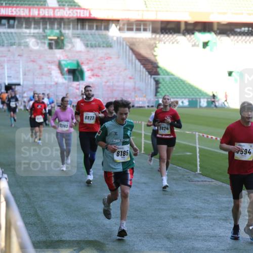 06.10.2024 - 19. swb-Marathon Bremen Yannick Fuchs http://msf.ph/oto/7388883 06.10.2024 10:27:56 Laufen im Stadion 7052, 7094, 7095, 7184, 7198, 7214, 7303, 7364, 7452, 7464, 7594, 7638, 7647, 7673, 7876, 8066, 8173, 8185, 8288, 8316, 8351, 8403, 8405, 8456, 8701, 8711, 8716, 8754, 8774, 8801, 8816, 8824, 8827, 8836, 8943, 8980, 9040 meine-sportfotos.de