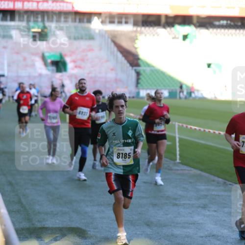 06.10.2024 - 19. swb-Marathon Bremen Yannick Fuchs http://msf.ph/oto/7388913 06.10.2024 10:27:56 Laufen im Stadion 7052, 7094, 7095, 7184, 7198, 7214, 7303, 7364, 7452, 7464, 7594, 7638, 7647, 7673, 7876, 8066, 8173, 8185, 8288, 8316, 8351, 8403, 8405, 8456, 8701, 8711, 8716, 8754, 8774, 8801, 8816, 8824, 8827, 8836, 8943, 8980, 9040 meine-sportfotos.de