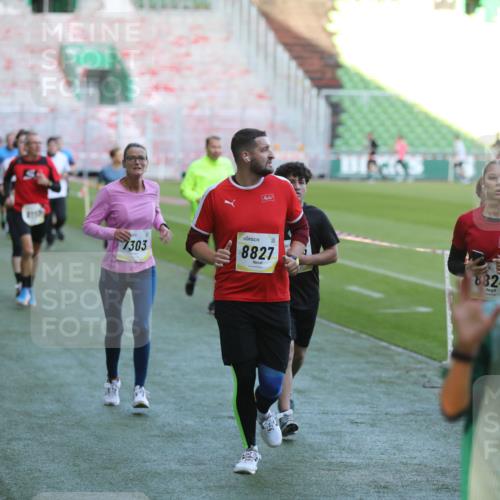 06.10.2024 - 19. swb-Marathon Bremen Yannick Fuchs http://msf.ph/oto/7388954 06.10.2024 10:27:57 Laufen im Stadion 7052, 7094, 7095, 7184, 7198, 7214, 7303, 7364, 7452, 7464, 7594, 7638, 7647, 7673, 7876, 8066, 8173, 8185, 8288, 8316, 8351, 8403, 8405, 8456, 8701, 8711, 8716, 8754, 8774, 8801, 8816, 8824, 8827, 8836, 8891, 8943, 8980, 9040, 9060 meine-sportfotos.de