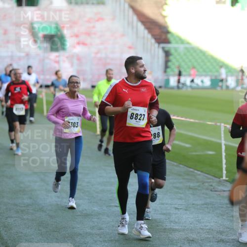 06.10.2024 - 19. swb-Marathon Bremen Yannick Fuchs http://msf.ph/oto/7388963 06.10.2024 10:27:57 Laufen im Stadion 7052, 7094, 7095, 7184, 7198, 7214, 7303, 7364, 7452, 7464, 7594, 7638, 7647, 7673, 7876, 8066, 8173, 8185, 8288, 8316, 8351, 8403, 8405, 8456, 8701, 8711, 8716, 8754, 8774, 8801, 8816, 8824, 8827, 8836, 8891, 8943, 8980, 9040, 9060 meine-sportfotos.de
