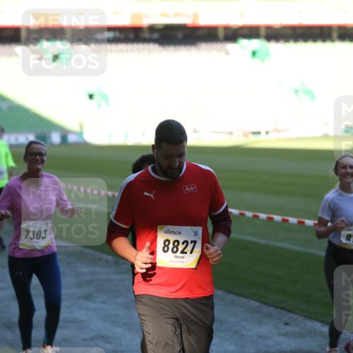 06.10.2024 - 19. swb-Marathon Bremen Yannick Fuchs http://msf.ph/oto/7389064 06.10.2024 10:28:00 Laufen im Stadion 7025, 7094, 7095, 7184, 7198, 7214, 7303, 7364, 7452, 7464, 7501, 7594, 7638, 7647, 7673, 7876, 8066, 8173, 8185, 8288, 8316, 8351, 8403, 8405, 8411, 8456, 8701, 8711, 8716, 8754, 8801, 8816, 8824, 8827, 8836, 8891, 8943, 8980, 9040, 9060 meine-sportfotos.de