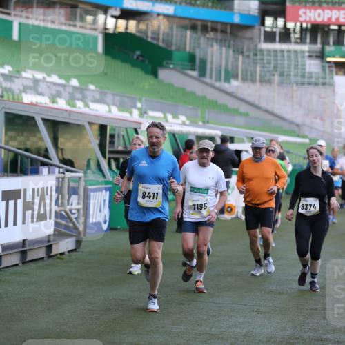 06.10.2024 - 19. swb-Marathon Bremen Yannick Fuchs http://msf.ph/oto/7389295 06.10.2024 10:28:16 Laufen im Stadion 7025, 7041, 7094, 7095, 7195, 7198, 7216, 7217, 7303, 7364, 7402, 7464, 7501, 7511, 7538, 7541, 7568, 7569, 7594, 7697, 7897, 7965, 8066, 8173, 8185, 8261, 8288, 8374, 8403, 8405, 8411, 8456, 8498, 8526, 8551, 8569, 8711, 8716, 8816, 8824, 8827, 8833, 8836, 8877, 8891, 8966, 9040, 9060 meine-sportfotos.de