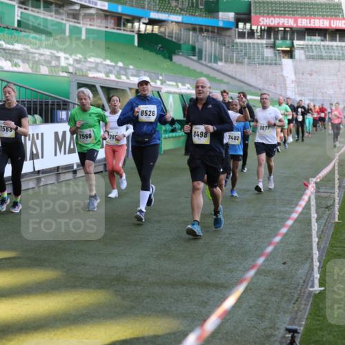 06.10.2024 - 19. swb-Marathon Bremen Yannick Fuchs http://msf.ph/oto/7448748 06.10.2024 10:28:22 Laufen im Stadion 7025, 7041, 7086, 7094, 7095, 7195, 7216, 7217, 7303, 7364, 7402, 7464, 7501, 7511, 7538, 7541, 7568, 7569, 7594, 7697, 7897, 7965, 8067, 8173, 8185, 8261, 8288, 8323, 8334, 8374, 8403, 8405, 8411, 8456, 8488, 8498, 8526, 8551, 8569, 8711, 8716, 8816, 8824, 8827, 8833, 8877, 8891, 8966, 8991, 9040, 9060 meine-sportfotos.de