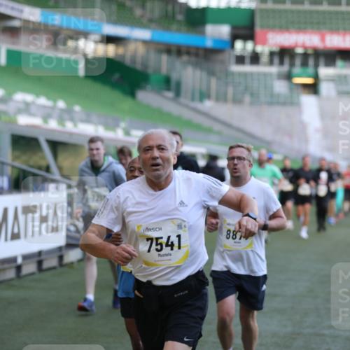 06.10.2024 - 19. swb-Marathon Bremen Yannick Fuchs http://msf.ph/oto/7448756 06.10.2024 10:28:25 Laufen im Stadion 7025, 7041, 7086, 7094, 7095, 7195, 7216, 7217, 7218, 7303, 7364, 7402, 7464, 7501, 7511, 7526, 7538, 7541, 7568, 7569, 7697, 7897, 7965, 8067, 8173, 8261, 8288, 8323, 8334, 8374, 8403, 8405, 8411, 8456, 8488, 8498, 8526, 8551, 8569, 8711, 8716, 8824, 8827, 8833, 8877, 8891, 8966, 8968, 8991, 9040, 9060 meine-sportfotos.de