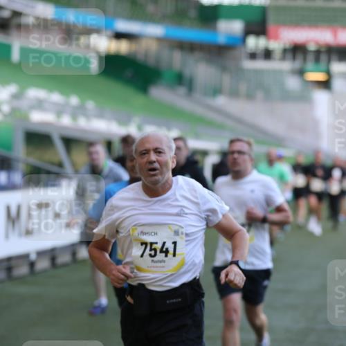 06.10.2024 - 19. swb-Marathon Bremen Yannick Fuchs http://msf.ph/oto/7448757 06.10.2024 10:28:25 Laufen im Stadion 7025, 7041, 7086, 7094, 7095, 7195, 7216, 7217, 7218, 7303, 7364, 7402, 7464, 7501, 7511, 7526, 7538, 7541, 7568, 7569, 7697, 7897, 7965, 8067, 8173, 8261, 8288, 8323, 8334, 8374, 8403, 8405, 8411, 8456, 8488, 8498, 8526, 8551, 8569, 8711, 8716, 8824, 8827, 8833, 8877, 8891, 8966, 8968, 8991, 9040, 9060 meine-sportfotos.de