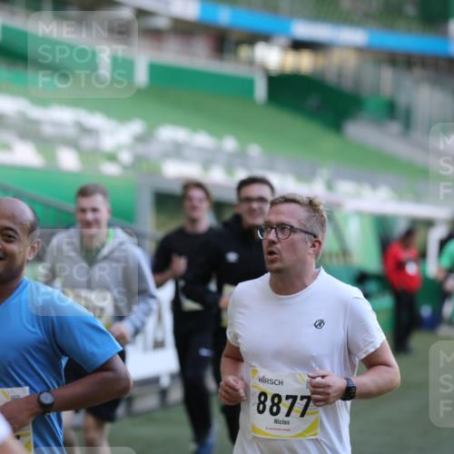 06.10.2024 - 19. swb-Marathon Bremen Yannick Fuchs http://msf.ph/oto/7448763 06.10.2024 10:28:26 Laufen im Stadion 7025, 7041, 7086, 7094, 7095, 7195, 7216, 7217, 7218, 7303, 7364, 7402, 7464, 7501, 7511, 7526, 7538, 7541, 7568, 7569, 7697, 7897, 7965, 8067, 8173, 8261, 8288, 8323, 8334, 8374, 8403, 8405, 8411, 8456, 8488, 8498, 8526, 8551, 8569, 8711, 8716, 8833, 8877, 8891, 8966, 8968, 8991, 9040, 9060 meine-sportfotos.de