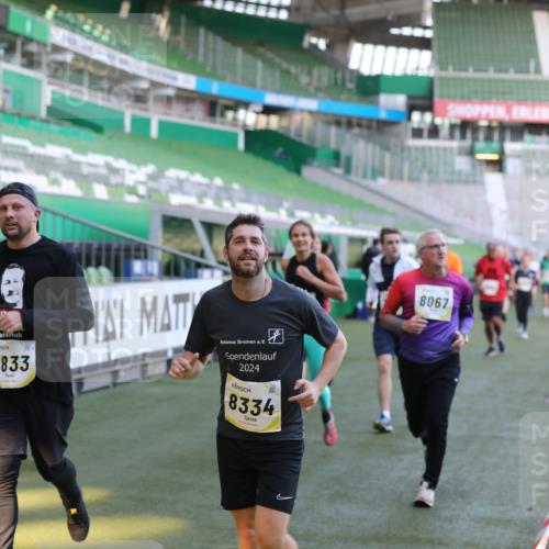06.10.2024 - 19. swb-Marathon Bremen Yannick Fuchs http://msf.ph/oto/7448798 06.10.2024 10:28:35 Laufen im Stadion 7025, 7041, 7086, 7094, 7095, 7195, 7216, 7217, 7218, 7402, 7464, 7501, 7511, 7521, 7526, 7538, 7541, 7568, 7569, 7697, 7776, 7827, 7897, 7940, 7965, 8067, 8251, 8261, 8306, 8323, 8334, 8374, 8403, 8405, 8411, 8419, 8456, 8488, 8498, 8526, 8536, 8551, 8566, 8569, 8665, 8833, 8877, 8891, 8966, 8968, 8990, 8991, 9040, 9060 meine-sportfotos.de