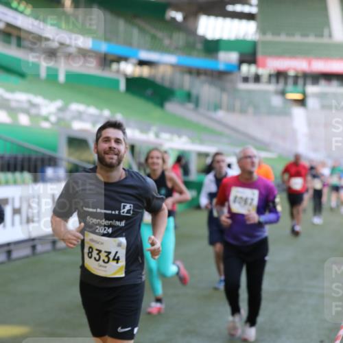06.10.2024 - 19. swb-Marathon Bremen Yannick Fuchs http://msf.ph/oto/7448799 06.10.2024 10:28:36 Laufen im Stadion 7025, 7041, 7086, 7094, 7195, 7216, 7217, 7218, 7296, 7402, 7464, 7501, 7511, 7521, 7526, 7538, 7541, 7568, 7569, 7697, 7776, 7827, 7897, 7940, 7965, 8067, 8251, 8261, 8306, 8323, 8334, 8374, 8403, 8405, 8411, 8419, 8488, 8498, 8526, 8536, 8551, 8566, 8569, 8665, 8833, 8877, 8891, 8966, 8968, 8990, 8991, 9040, 9060 meine-sportfotos.de
