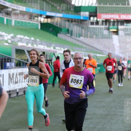 06.10.2024 - 19. swb-Marathon Bremen Yannick Fuchs http://msf.ph/oto/7448801 06.10.2024 10:28:36 Laufen im Stadion 7025, 7041, 7086, 7094, 7195, 7216, 7217, 7218, 7296, 7402, 7464, 7501, 7511, 7521, 7526, 7538, 7541, 7568, 7569, 7697, 7776, 7827, 7897, 7940, 7965, 8067, 8251, 8261, 8306, 8323, 8334, 8374, 8403, 8405, 8411, 8419, 8488, 8498, 8526, 8536, 8551, 8566, 8569, 8665, 8833, 8877, 8891, 8966, 8968, 8990, 8991, 9040, 9060 meine-sportfotos.de