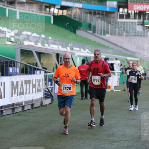06.10.2024 - 19. swb-Marathon Bremen Yannick Fuchs http://msf.ph/oto/7448810 06.10.2024 10:28:39 Laufen im Stadion 7025, 7041, 7086, 7195, 7216, 7217, 7218, 7296, 7402, 7501, 7511, 7521, 7526, 7538, 7541, 7568, 7569, 7697, 7776, 7827, 7897, 7940, 7965, 8067, 8251, 8261, 8306, 8323, 8334, 8374, 8411, 8419, 8488, 8498, 8526, 8536, 8551, 8566, 8569, 8665, 8833, 8877, 8891, 8966, 8968, 8990, 8991, 9038, 9040, 9060, 9080 meine-sportfotos.de
