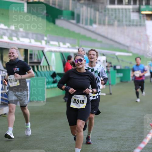06.10.2024 - 19. swb-Marathon Bremen Yannick Fuchs http://msf.ph/oto/7448838 06.10.2024 10:28:59 Laufen im Stadion 7041, 7086, 7099, 7218, 7290, 7296, 7511, 7521, 7526, 7590, 7671, 7683, 7697, 7776, 7825, 7827, 7897, 7940, 8018, 8067, 8157, 8158, 8244, 8251, 8252, 8306, 8323, 8334, 8336, 8419, 8443, 8461, 8488, 8536, 8566, 8596, 8604, 8665, 8819, 8828, 8833, 8843, 8965, 8968, 8990, 8991, 9014, 9038, 9080, 9106 meine-sportfotos.de