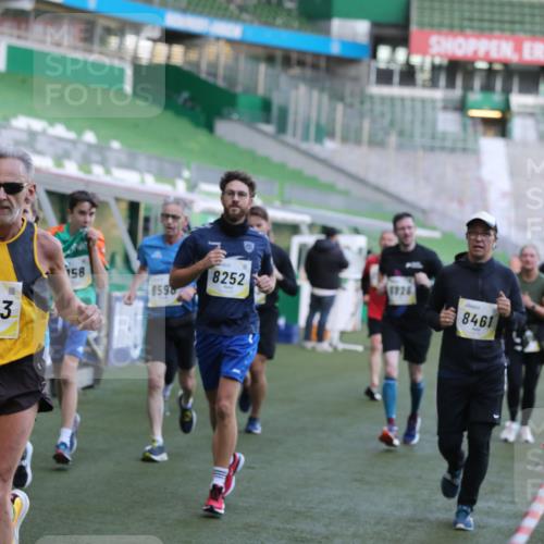 06.10.2024 - 19. swb-Marathon Bremen Yannick Fuchs http://msf.ph/oto/7448868 06.10.2024 10:29:12 Laufen im Stadion 7099, 7290, 7296, 7334, 7370, 7521, 7590, 7671, 7683, 7776, 7800, 7825, 7827, 7940, 7983, 8018, 8092, 8098, 8156, 8157, 8158, 8244, 8251, 8252, 8306, 8336, 8419, 8443, 8461, 8522, 8525, 8536, 8566, 8575, 8596, 8604, 8665, 8819, 8828, 8835, 8843, 8875, 8894, 8953, 8965, 8990, 9014, 9038, 9080, 9106 meine-sportfotos.de