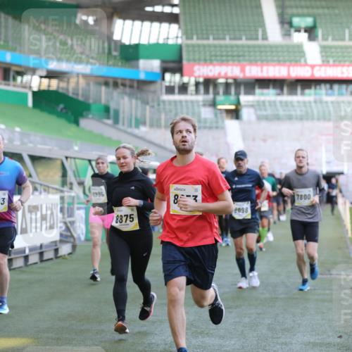 06.10.2024 - 19. swb-Marathon Bremen Yannick Fuchs http://msf.ph/oto/7448901 06.10.2024 10:29:25 Laufen im Stadion 7099, 7117, 7290, 7334, 7370, 7590, 7671, 7683, 7714, 7800, 7825, 7983, 7992, 8001, 8018, 8092, 8098, 8156, 8157, 8158, 8215, 8244, 8252, 8330, 8336, 8424, 8443, 8458, 8461, 8522, 8525, 8575, 8596, 8604, 8609, 8819, 8828, 8835, 8843, 8875, 8894, 8925, 8951, 8953, 8965, 9001, 9014, 9066, 9106 meine-sportfotos.de
