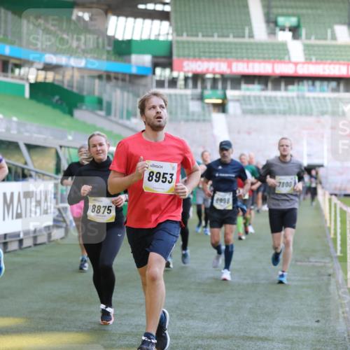 06.10.2024 - 19. swb-Marathon Bremen Yannick Fuchs http://msf.ph/oto/7448903 06.10.2024 10:29:25 Laufen im Stadion 7099, 7117, 7290, 7334, 7370, 7590, 7671, 7683, 7714, 7800, 7825, 7983, 7992, 8001, 8018, 8092, 8098, 8156, 8157, 8158, 8215, 8244, 8252, 8330, 8336, 8424, 8443, 8458, 8461, 8522, 8525, 8575, 8596, 8604, 8609, 8819, 8828, 8835, 8843, 8875, 8894, 8925, 8951, 8953, 8965, 9001, 9014, 9066, 9106 meine-sportfotos.de
