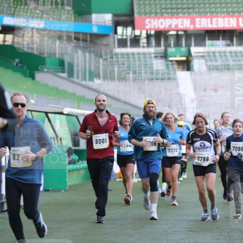 06.10.2024 - 19. swb-Marathon Bremen Yannick Fuchs http://msf.ph/oto/7448964 06.10.2024 10:29:40 Laufen im Stadion 7060, 7061, 7066, 7117, 7193, 7194, 7334, 7340, 7370, 7372, 7384, 7451, 7542, 7683, 7696, 7706, 7714, 7768, 7800, 7823, 7870, 7931, 7983, 7989, 7992, 8001, 8092, 8098, 8156, 8157, 8158, 8215, 8252, 8330, 8362, 8424, 8458, 8461, 8522, 8525, 8570, 8575, 8596, 8604, 8609, 8767, 8828, 8835, 8843, 8854, 8875, 8894, 8925, 8951, 8953, 8954, 9001, 9066, 9106 meine-sportfotos.de