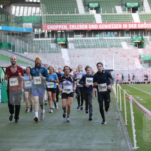 06.10.2024 - 19. swb-Marathon Bremen Yannick Fuchs http://msf.ph/oto/7448969 06.10.2024 10:29:41 Laufen im Stadion 7060, 7061, 7066, 7117, 7193, 7194, 7334, 7340, 7370, 7372, 7384, 7451, 7542, 7683, 7696, 7706, 7714, 7768, 7784, 7800, 7823, 7870, 7931, 7983, 7989, 7992, 8001, 8092, 8098, 8156, 8157, 8158, 8215, 8252, 8330, 8362, 8424, 8458, 8461, 8522, 8525, 8570, 8575, 8596, 8604, 8609, 8763, 8767, 8828, 8835, 8854, 8875, 8894, 8925, 8951, 8953, 8954, 9001, 9066, 9106 meine-sportfotos.de