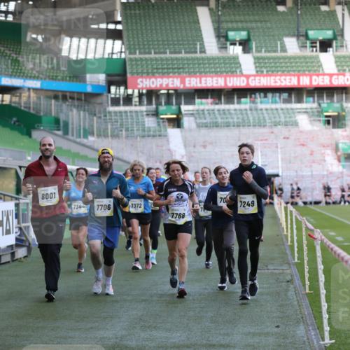 06.10.2024 - 19. swb-Marathon Bremen Yannick Fuchs http://msf.ph/oto/7448973 06.10.2024 10:29:42 Laufen im Stadion 7060, 7061, 7066, 7117, 7193, 7194, 7334, 7340, 7370, 7372, 7384, 7451, 7542, 7696, 7706, 7714, 7768, 7784, 7800, 7823, 7870, 7931, 7983, 7989, 7992, 8001, 8092, 8098, 8156, 8157, 8158, 8215, 8252, 8330, 8362, 8424, 8458, 8461, 8522, 8525, 8570, 8575, 8604, 8609, 8763, 8767, 8828, 8835, 8854, 8875, 8894, 8925, 8951, 8953, 8954, 9001, 9066, 9106 meine-sportfotos.de