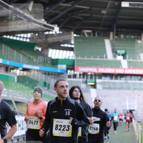 06.10.2024 - 19. swb-Marathon Bremen Yannick Fuchs http://msf.ph/oto/7449086 06.10.2024 10:30:15 Laufen im Stadion 7060, 7061, 7146, 7176, 7193, 7340, 7361, 7412, 7451, 7542, 7585, 7613, 7620, 7629, 7630, 7696, 7698, 7752, 7784, 7823, 7962, 7989, 8041, 8109, 8186, 8219, 8223, 8290, 8328, 8332, 8333, 8354, 8362, 8428, 8440, 8465, 8477, 8524, 8552, 8629, 8639, 8748, 8763, 8767, 8768, 8783, 8794, 8802, 8803, 8834, 8841, 8869, 8897, 8898, 8933, 8954, 9008, 9023, 9065, 9081 meine-sportfotos.de