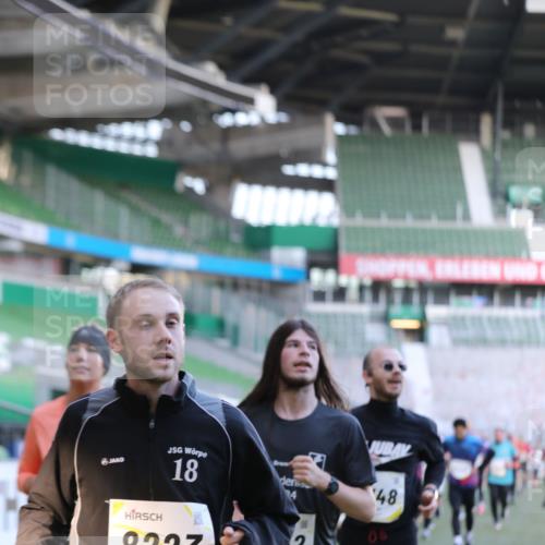06.10.2024 - 19. swb-Marathon Bremen Yannick Fuchs http://msf.ph/oto/7449088 06.10.2024 10:30:15 Laufen im Stadion 7060, 7061, 7146, 7176, 7193, 7340, 7361, 7412, 7451, 7542, 7585, 7613, 7620, 7629, 7630, 7696, 7698, 7752, 7784, 7823, 7962, 7989, 8041, 8109, 8186, 8219, 8223, 8290, 8328, 8332, 8333, 8354, 8362, 8428, 8440, 8465, 8477, 8524, 8552, 8629, 8639, 8748, 8763, 8767, 8768, 8783, 8794, 8802, 8803, 8834, 8841, 8869, 8897, 8898, 8933, 8954, 9008, 9023, 9065, 9081 meine-sportfotos.de