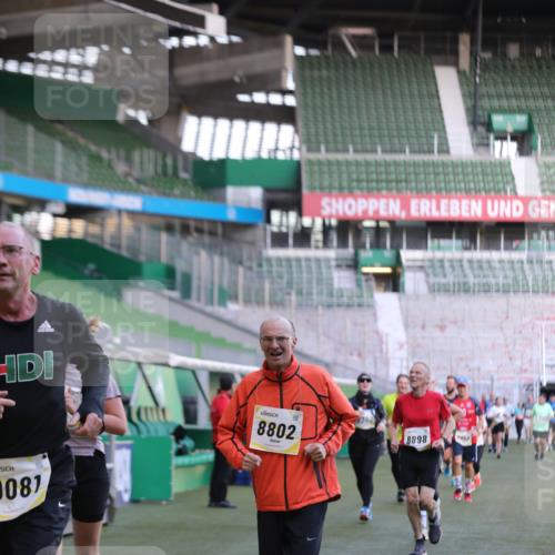 06.10.2024 - 19. swb-Marathon Bremen Yannick Fuchs http://msf.ph/oto/7449143 06.10.2024 10:30:30 Laufen im Stadion 7029, 7046, 7053, 7144, 7176, 7302, 7361, 7412, 7585, 7613, 7620, 7629, 7630, 7698, 7752, 7962, 8036, 8041, 8109, 8186, 8219, 8223, 8290, 8328, 8332, 8333, 8354, 8428, 8440, 8465, 8469, 8477, 8524, 8552, 8622, 8629, 8639, 8748, 8783, 8794, 8802, 8803, 8834, 8841, 8897, 8898, 8931, 8933, 8960, 9008, 9023, 9065, 9081 meine-sportfotos.de