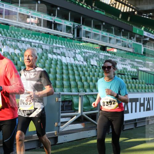 06.10.2024 - 19. swb-Marathon Bremen Yannick Fuchs http://msf.ph/oto/7449242 06.10.2024 10:31:01 Laufen im Stadion 7004, 7029, 7044, 7046, 7053, 7089, 7144, 7213, 7250, 7261, 7302, 7362, 7458, 7785, 7947, 8023, 8036, 8058, 8245, 8268, 8274, 8388, 8392, 8433, 8437, 8469, 8512, 8520, 8521, 8538, 8553, 8586, 8605, 8622, 8633, 8634, 8646, 8674, 8717, 8810, 8823, 8883, 8892, 8931, 8960, 8985, 9012, 9035, 9075, 9119, 9131 meine-sportfotos.de