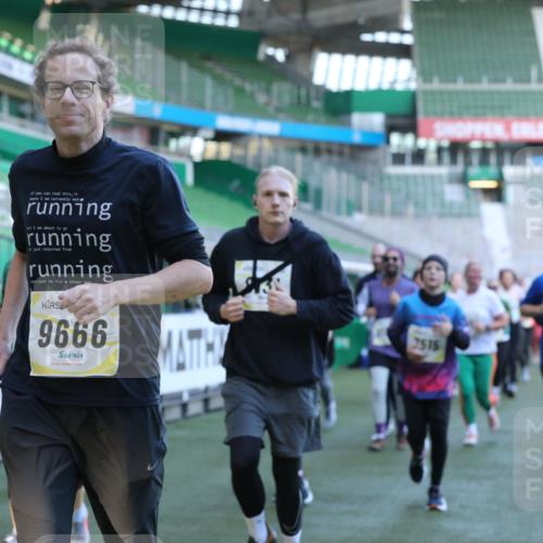 06.10.2024 - 19. swb-Marathon Bremen Yannick Fuchs http://msf.ph/oto/7449402 06.10.2024 10:35:57 Laufen im Stadion 7018, 7020, 7101, 7102, 7167, 7182, 7341, 7353, 7391, 7393, 7428, 7460, 7462, 7514, 7515, 7522, 7573, 7609, 7610, 7639, 7667, 7686, 7694, 7724, 7878, 7904, 7907, 7937, 7945, 7967, 7969, 7977, 8096, 8121, 8131, 8191, 8212, 8265, 8273, 8367, 8401, 8421, 8425, 8462, 8483, 8486, 8530, 8562, 8582, 8595, 8638, 8668, 8675, 8685, 8704, 8787, 8818, 8837, 8914, 8920, 8940, 8941, 8952, 8957, 9017, 9029, 9128, 9666 meine-sportfotos.de