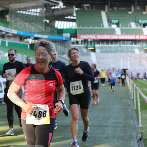 06.10.2024 - 19. swb-Marathon Bremen Yannick Fuchs http://msf.ph/oto/7449428 06.10.2024 10:31:48 Laufen im Stadion 7005, 7007, 7055, 7090, 7225, 7233, 7379, 7380, 7386, 7439, 7467, 7474, 7486, 7493, 7545, 7546, 7575, 7628, 7689, 7730, 7762, 7782, 7794, 7806, 7847, 7850, 7872, 7894, 7974, 7990, 8013, 8014, 8040, 8052, 8061, 8123, 8233, 8237, 8267, 8304, 8305, 8346, 8413, 8416, 8418, 8459, 8557, 8576, 8584, 8614, 8624, 8676, 8677, 8710, 8744, 8757, 8761, 8769, 8776, 8807, 8826, 8874, 8971, 8998, 9037, 9050, 9067 meine-sportfotos.de