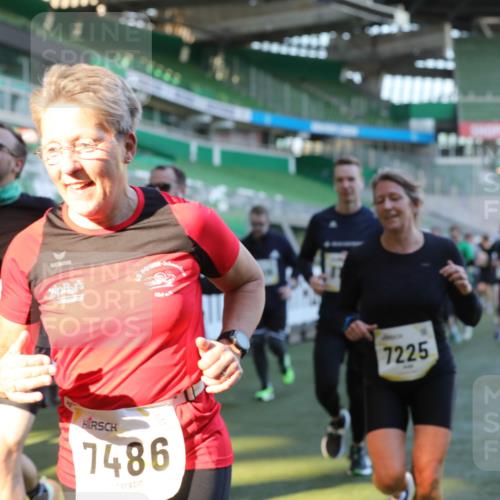 06.10.2024 - 19. swb-Marathon Bremen Yannick Fuchs http://msf.ph/oto/7449433 06.10.2024 10:31:48 Laufen im Stadion 7005, 7007, 7055, 7090, 7225, 7233, 7379, 7380, 7386, 7439, 7467, 7474, 7486, 7493, 7545, 7546, 7575, 7628, 7689, 7730, 7762, 7782, 7794, 7806, 7847, 7850, 7872, 7894, 7974, 7990, 8013, 8014, 8040, 8052, 8061, 8123, 8233, 8237, 8267, 8304, 8305, 8346, 8413, 8416, 8418, 8459, 8557, 8576, 8584, 8614, 8624, 8676, 8677, 8710, 8744, 8757, 8761, 8769, 8776, 8807, 8826, 8874, 8971, 8998, 9037, 9050, 9067 meine-sportfotos.de