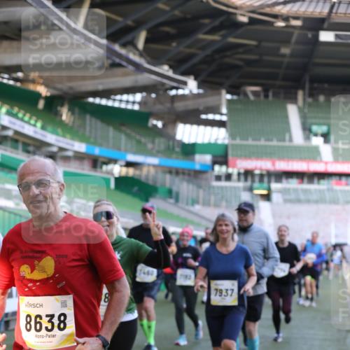 06.10.2024 - 19. swb-Marathon Bremen Yannick Fuchs http://msf.ph/oto/7449451 06.10.2024 10:36:05 Laufen im Stadion 7018, 7020, 7051, 7101, 7102, 7167, 7182, 7391, 7393, 7434, 7460, 7462, 7514, 7515, 7522, 7573, 7609, 7610, 7639, 7667, 7686, 7694, 7724, 7878, 7907, 7937, 7939, 7945, 7951, 7969, 7977, 8096, 8102, 8131, 8212, 8253, 8254, 8265, 8273, 8367, 8379, 8401, 8425, 8462, 8483, 8486, 8530, 8545, 8562, 8582, 8638, 8668, 8675, 8685, 8704, 8737, 8787, 8818, 8837, 8914, 8920, 8940, 8941, 8957, 9017, 9020, 9042, 9043, 9128, 9666 meine-sportfotos.de