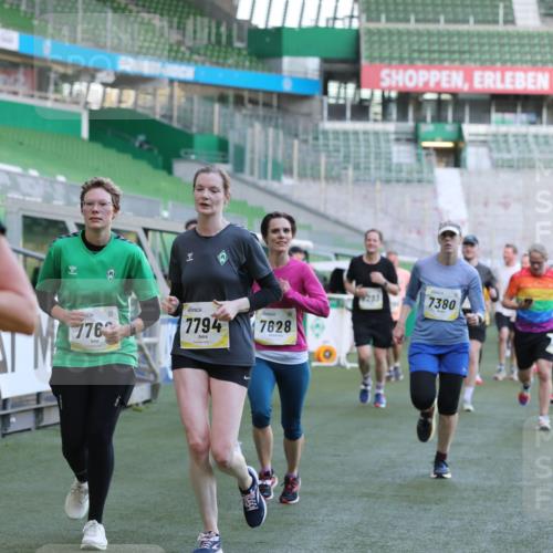 06.10.2024 - 19. swb-Marathon Bremen Yannick Fuchs http://msf.ph/oto/7449467 06.10.2024 10:31:52 Laufen im Stadion 7005, 7007, 7055, 7090, 7225, 7233, 7379, 7380, 7386, 7439, 7467, 7469, 7474, 7486, 7493, 7545, 7546, 7575, 7600, 7628, 7637, 7689, 7750, 7762, 7782, 7794, 7847, 7850, 7872, 7894, 7974, 8013, 8040, 8052, 8061, 8123, 8132, 8233, 8237, 8276, 8304, 8305, 8324, 8413, 8416, 8418, 8459, 8557, 8576, 8584, 8614, 8624, 8676, 8677, 8710, 8744, 8757, 8761, 8769, 8772, 8776, 8790, 8807, 8826, 8874, 8971, 8998, 9037, 9050, 9067 meine-sportfotos.de