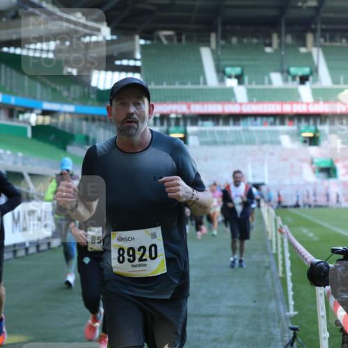 06.10.2024 - 19. swb-Marathon Bremen Yannick Fuchs http://msf.ph/oto/7449529 06.10.2024 10:36:15 Laufen im Stadion 7018, 7020, 7051, 7101, 7102, 7167, 7182, 7300, 7434, 7460, 7462, 7514, 7515, 7522, 7529, 7547, 7573, 7609, 7610, 7639, 7667, 7686, 7694, 7724, 7769, 7878, 7907, 7937, 7939, 7944, 7945, 7951, 7969, 7977, 8081, 8082, 8084, 8096, 8102, 8116, 8125, 8131, 8212, 8253, 8254, 8265, 8367, 8379, 8401, 8462, 8483, 8486, 8530, 8545, 8562, 8582, 8638, 8668, 8675, 8685, 8704, 8737, 8787, 8914, 8920, 8940, 8941, 9017, 9020, 9042, 9043, 9083, 9128 meine-sportfotos.de