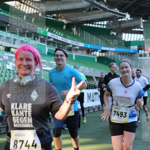 06.10.2024 - 19. swb-Marathon Bremen Yannick Fuchs http://msf.ph/oto/7449578 06.10.2024 10:32:06 Laufen im Stadion 7005, 7007, 7055, 7087, 7090, 7189, 7225, 7233, 7308, 7379, 7380, 7382, 7386, 7415, 7457, 7469, 7474, 7482, 7486, 7493, 7545, 7551, 7575, 7600, 7628, 7637, 7689, 7750, 7762, 7782, 7794, 7846, 7847, 7850, 7872, 7894, 7974, 8013, 8052, 8061, 8111, 8112, 8123, 8132, 8161, 8162, 8233, 8276, 8304, 8305, 8322, 8324, 8325, 8339, 8377, 8413, 8416, 8418, 8431, 8459, 8557, 8576, 8584, 8641, 8744, 8756, 8757, 8769, 8772, 8790, 8826, 8840, 8867, 8868, 8874, 9050, 9067 meine-sportfotos.de