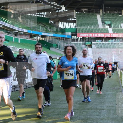 06.10.2024 - 19. swb-Marathon Bremen Yannick Fuchs http://msf.ph/oto/7449592 06.10.2024 10:32:08 Laufen im Stadion 7005, 7007, 7055, 7087, 7090, 7189, 7225, 7233, 7308, 7379, 7380, 7382, 7386, 7415, 7457, 7469, 7474, 7482, 7486, 7493, 7545, 7551, 7575, 7600, 7628, 7637, 7689, 7750, 7762, 7782, 7794, 7846, 7847, 7850, 7872, 7894, 7974, 8013, 8052, 8061, 8111, 8112, 8123, 8132, 8161, 8162, 8231, 8233, 8276, 8304, 8305, 8322, 8324, 8325, 8339, 8377, 8413, 8416, 8418, 8431, 8557, 8576, 8584, 8598, 8641, 8738, 8744, 8756, 8757, 8769, 8772, 8790, 8826, 8840, 8867, 8868, 8874, 9050, 9067 meine-sportfotos.de
