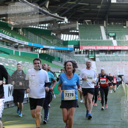 06.10.2024 - 19. swb-Marathon Bremen Yannick Fuchs http://msf.ph/oto/7449594 06.10.2024 10:32:08 Laufen im Stadion 7005, 7007, 7055, 7087, 7090, 7189, 7225, 7233, 7308, 7379, 7380, 7382, 7386, 7415, 7457, 7469, 7474, 7482, 7486, 7493, 7545, 7551, 7575, 7600, 7628, 7637, 7689, 7750, 7762, 7782, 7794, 7846, 7847, 7850, 7872, 7894, 7974, 8013, 8052, 8061, 8111, 8112, 8123, 8132, 8161, 8162, 8231, 8233, 8276, 8304, 8305, 8322, 8324, 8325, 8339, 8377, 8413, 8416, 8418, 8431, 8557, 8576, 8584, 8598, 8641, 8738, 8744, 8756, 8757, 8769, 8772, 8790, 8826, 8840, 8867, 8868, 8874, 9050, 9067 meine-sportfotos.de