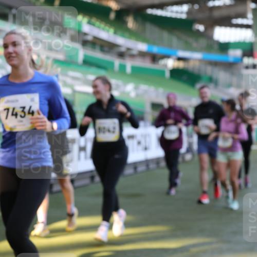 06.10.2024 - 19. swb-Marathon Bremen Yannick Fuchs http://msf.ph/oto/7449613 06.10.2024 10:36:25 Laufen im Stadion 7018, 7020, 7051, 7101, 7102, 7167, 7182, 7300, 7434, 7522, 7529, 7547, 7573, 7609, 7610, 7639, 7667, 7708, 7709, 7715, 7724, 7747, 7748, 7769, 7792, 7896, 7907, 7939, 7944, 7945, 7951, 7969, 8081, 8082, 8084, 8096, 8102, 8116, 8125, 8212, 8253, 8254, 8367, 8379, 8401, 8462, 8483, 8486, 8530, 8545, 8613, 8668, 8685, 8704, 8737, 8914, 8920, 8941, 8977, 8978, 9017, 9020, 9022, 9024, 9042, 9043, 9083 meine-sportfotos.de