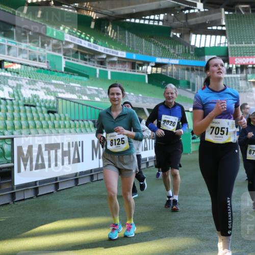 06.10.2024 - 19. swb-Marathon Bremen Yannick Fuchs http://msf.ph/oto/7449664 06.10.2024 10:36:32 Laufen im Stadion 7022, 7051, 7101, 7102, 7152, 7300, 7326, 7434, 7529, 7547, 7558, 7573, 7610, 7636, 7667, 7708, 7709, 7715, 7721, 7747, 7748, 7769, 7792, 7896, 7907, 7939, 7944, 7951, 8078, 8081, 8082, 8083, 8084, 8102, 8116, 8125, 8168, 8170, 8253, 8254, 8379, 8401, 8438, 8462, 8486, 8493, 8530, 8545, 8592, 8613, 8621, 8737, 8741, 8751, 8914, 8920, 8977, 8978, 9020, 9022, 9024, 9042, 9043, 9083 meine-sportfotos.de