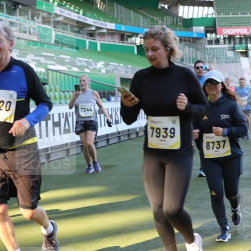 06.10.2024 - 19. swb-Marathon Bremen Yannick Fuchs http://msf.ph/oto/7449684 06.10.2024 10:36:34 Laufen im Stadion 7022, 7051, 7101, 7102, 7104, 7152, 7300, 7326, 7434, 7529, 7547, 7558, 7573, 7636, 7667, 7708, 7709, 7715, 7721, 7747, 7748, 7769, 7792, 7896, 7907, 7939, 7944, 7951, 8078, 8081, 8082, 8083, 8084, 8102, 8116, 8125, 8168, 8170, 8253, 8254, 8379, 8401, 8438, 8462, 8493, 8530, 8545, 8592, 8613, 8621, 8737, 8741, 8751, 8914, 8977, 8978, 9020, 9022, 9024, 9042, 9043, 9083 meine-sportfotos.de