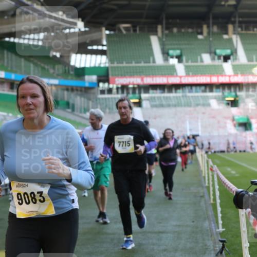 06.10.2024 - 19. swb-Marathon Bremen Yannick Fuchs http://msf.ph/oto/7449710 06.10.2024 10:36:38 Laufen im Stadion 7022, 7051, 7064, 7101, 7102, 7104, 7152, 7160, 7300, 7326, 7434, 7529, 7547, 7558, 7636, 7708, 7709, 7715, 7721, 7747, 7748, 7769, 7792, 7896, 7939, 7944, 7951, 8078, 8081, 8082, 8083, 8084, 8102, 8116, 8125, 8138, 8168, 8170, 8193, 8253, 8254, 8379, 8401, 8430, 8438, 8462, 8493, 8545, 8592, 8613, 8621, 8708, 8737, 8741, 8751, 8914, 8977, 8978, 9020, 9022, 9024, 9042, 9043, 9083, 9990 meine-sportfotos.de