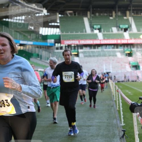 06.10.2024 - 19. swb-Marathon Bremen Yannick Fuchs http://msf.ph/oto/7449711 06.10.2024 10:36:38 Laufen im Stadion 7022, 7051, 7064, 7101, 7102, 7104, 7152, 7160, 7300, 7326, 7434, 7529, 7547, 7558, 7636, 7708, 7709, 7715, 7721, 7747, 7748, 7769, 7792, 7896, 7939, 7944, 7951, 8078, 8081, 8082, 8083, 8084, 8102, 8116, 8125, 8138, 8168, 8170, 8193, 8253, 8254, 8379, 8401, 8430, 8438, 8462, 8493, 8545, 8592, 8613, 8621, 8708, 8737, 8741, 8751, 8914, 8977, 8978, 9020, 9022, 9024, 9042, 9043, 9083, 9990 meine-sportfotos.de