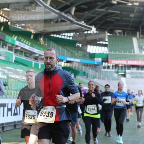 06.10.2024 - 19. swb-Marathon Bremen Yannick Fuchs http://msf.ph/oto/7449721 06.10.2024 10:32:23 Laufen im Stadion 7055, 7087, 7090, 7179, 7189, 7308, 7379, 7382, 7386, 7415, 7425, 7457, 7469, 7474, 7481, 7482, 7493, 7551, 7600, 7637, 7689, 7750, 7846, 7850, 7894, 7974, 7975, 8045, 8052, 8061, 8111, 8112, 8119, 8132, 8161, 8162, 8231, 8276, 8317, 8322, 8324, 8325, 8339, 8359, 8377, 8413, 8418, 8431, 8576, 8584, 8598, 8616, 8641, 8682, 8683, 8738, 8744, 8756, 8757, 8759, 8772, 8790, 8822, 8826, 8840, 8867, 8868, 8874, 9021, 9100, 9108, 9115, 9130 meine-sportfotos.de