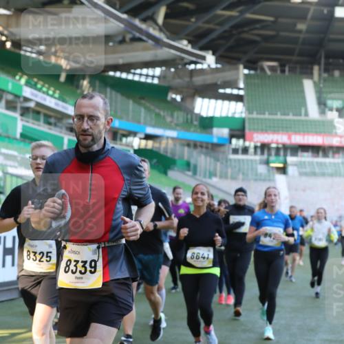 06.10.2024 - 19. swb-Marathon Bremen Yannick Fuchs http://msf.ph/oto/7449724 06.10.2024 10:32:23 Laufen im Stadion 7055, 7087, 7090, 7179, 7189, 7308, 7379, 7382, 7386, 7415, 7425, 7457, 7469, 7474, 7481, 7482, 7493, 7551, 7600, 7637, 7689, 7750, 7846, 7850, 7894, 7974, 7975, 8045, 8052, 8061, 8111, 8112, 8119, 8132, 8161, 8162, 8231, 8276, 8317, 8322, 8324, 8325, 8339, 8359, 8377, 8413, 8418, 8431, 8576, 8584, 8598, 8616, 8641, 8682, 8683, 8738, 8744, 8756, 8757, 8759, 8772, 8790, 8822, 8826, 8840, 8867, 8868, 8874, 9021, 9100, 9108, 9115, 9130 meine-sportfotos.de